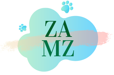 logo ZamZ